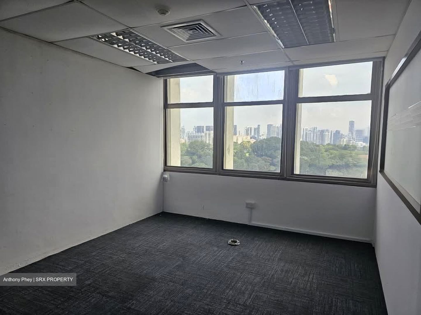 Peninsula Plaza (D6), Office #560112281